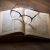 Aufgeschlagenes Buch, auf dem eine Brille liegt