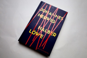Cover des Buches.