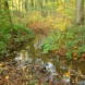 Der Burgauenbach in der Leipziger Burgaue. Foto: Ralf Julke